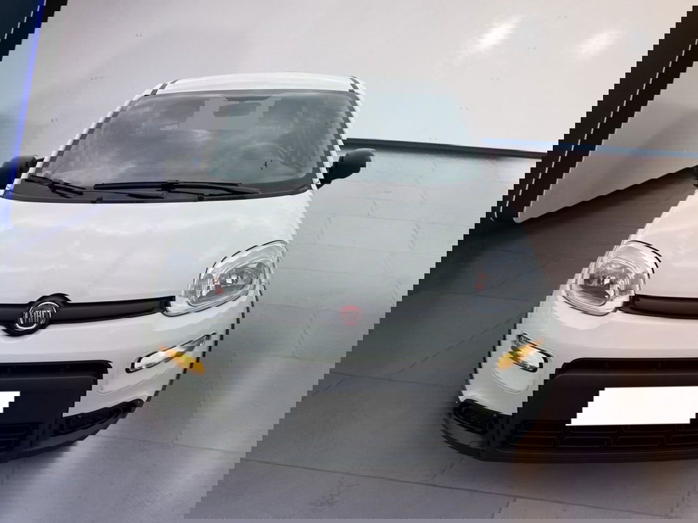 Fiat Panda usata a Torino