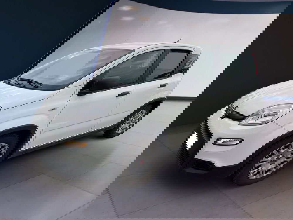 Fiat Panda usata a Torino (2)