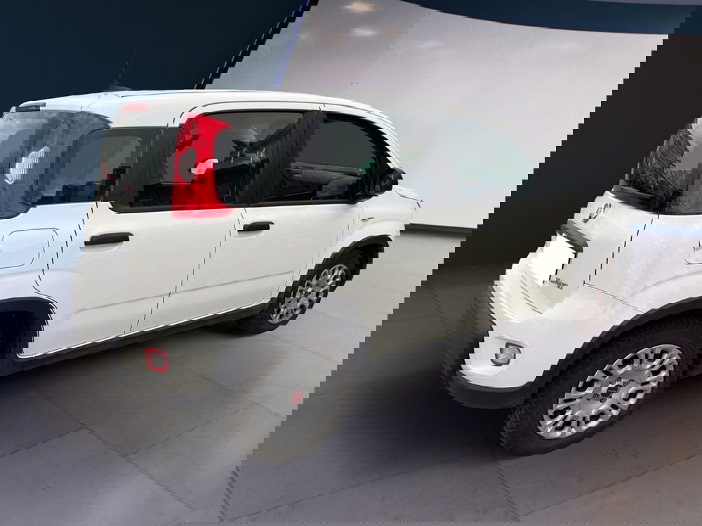 Fiat Panda usata a Torino (4)