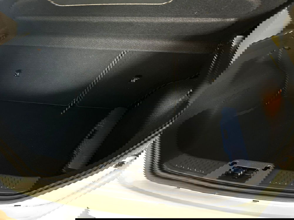 Ford Fiesta usata a Ferrara (14)