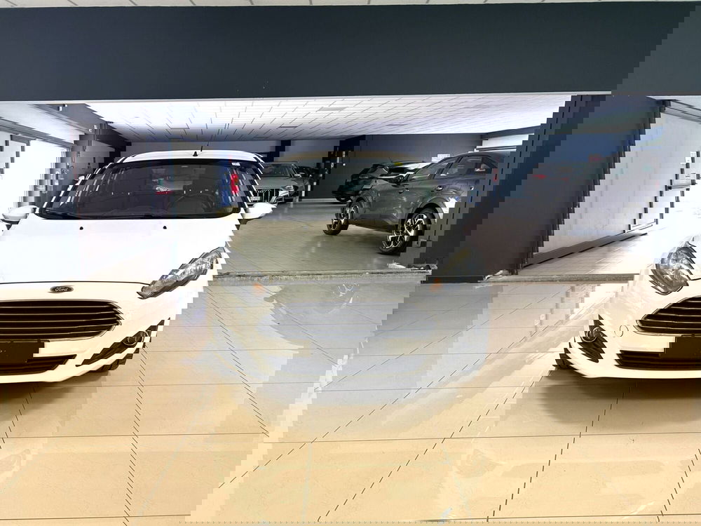 Ford Fiesta usata a Ferrara (2)