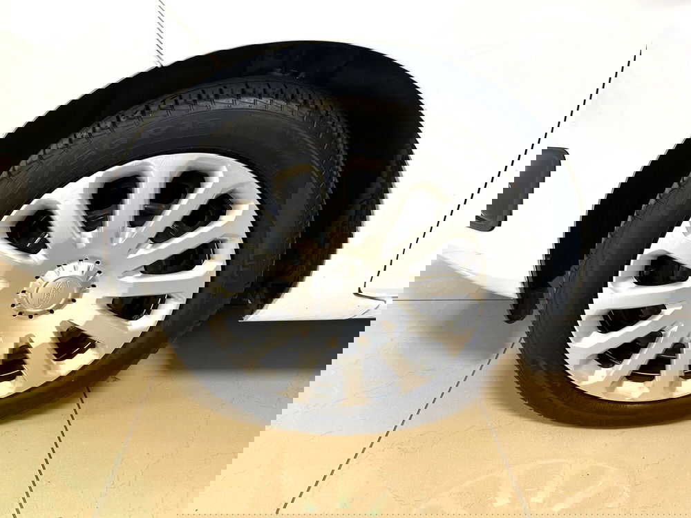 Ford Fiesta usata a Ferrara (7)