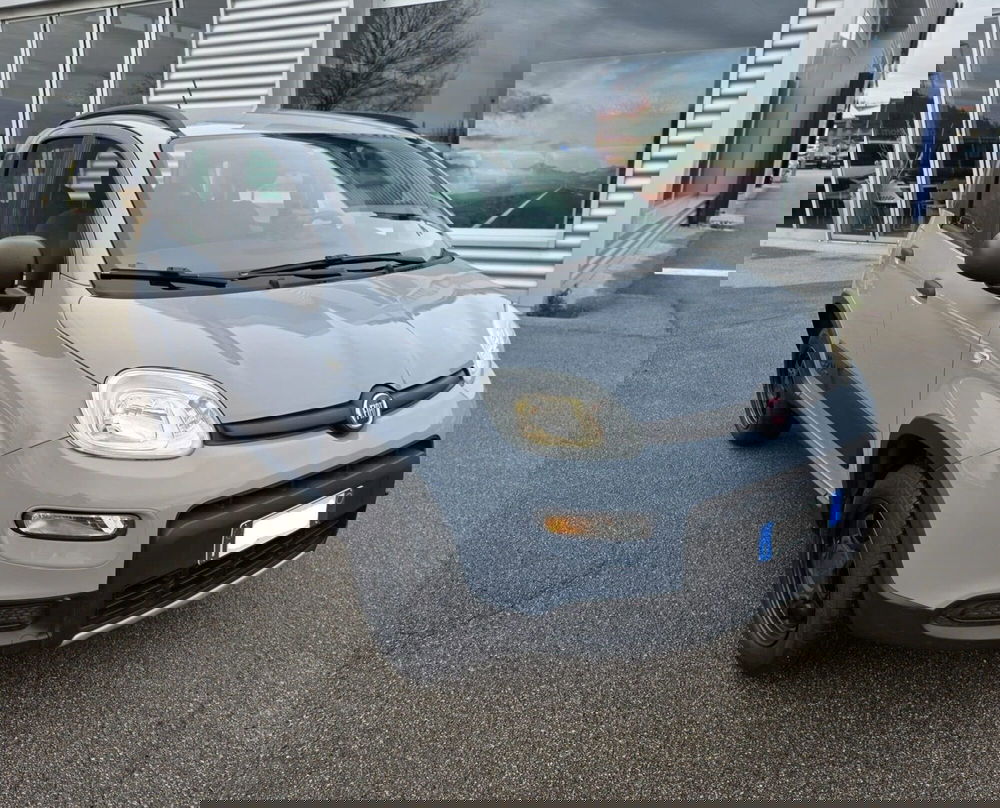 Fiat Panda usata a Belluno (2)