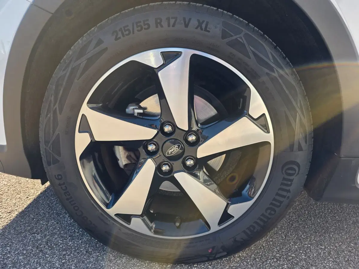 Ford Focus Station Wagon usata a Belluno (5)