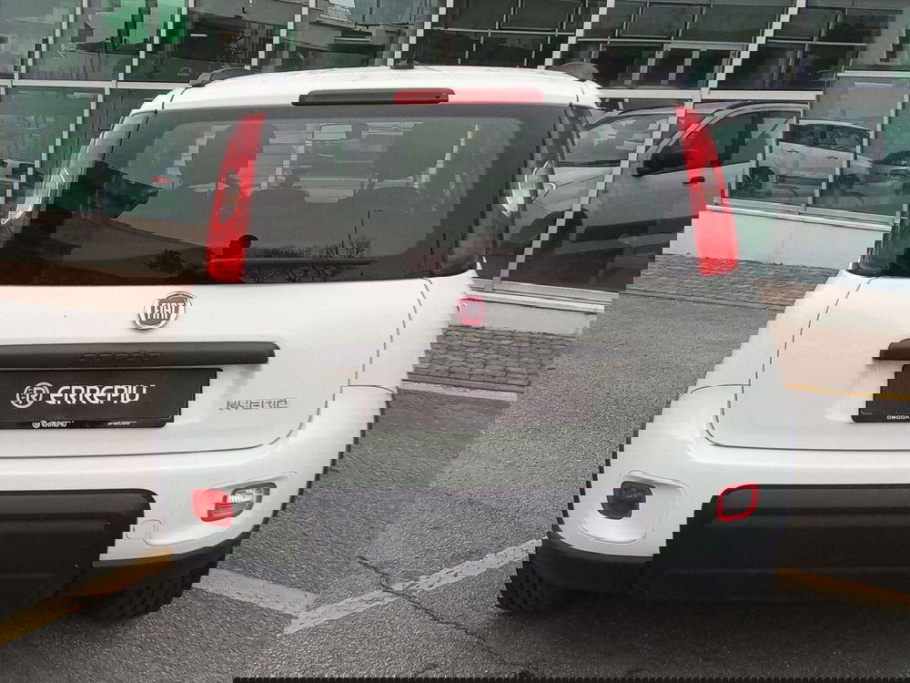 Fiat Panda usata a Rimini (10)