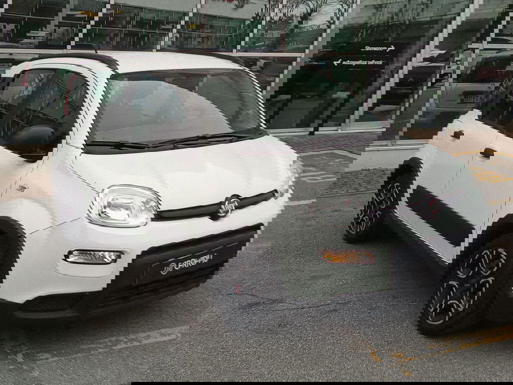 Fiat Panda usata a Rimini (2)