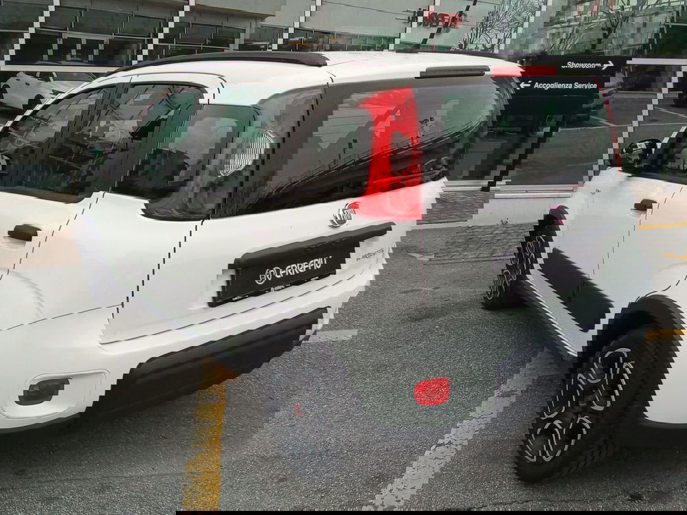 Fiat Panda usata a Rimini (3)