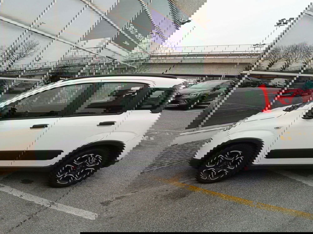 Fiat Panda usata a Rimini (5)