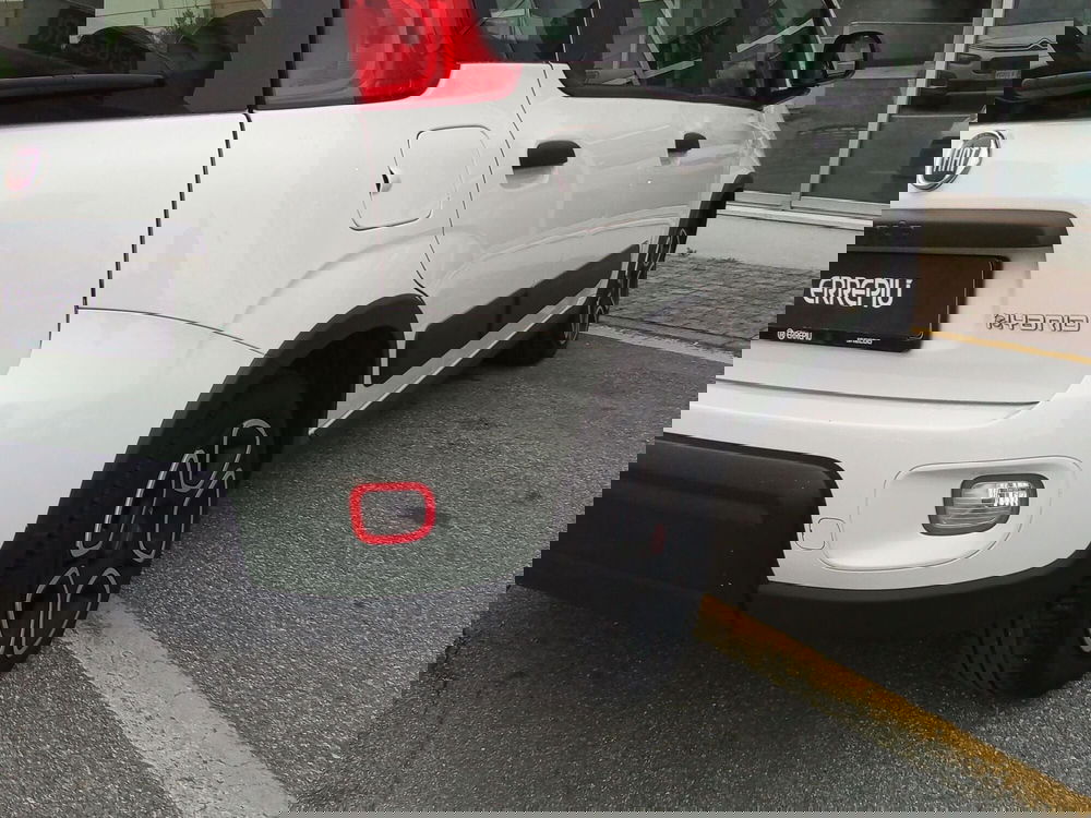 Fiat Panda usata a Rimini (7)