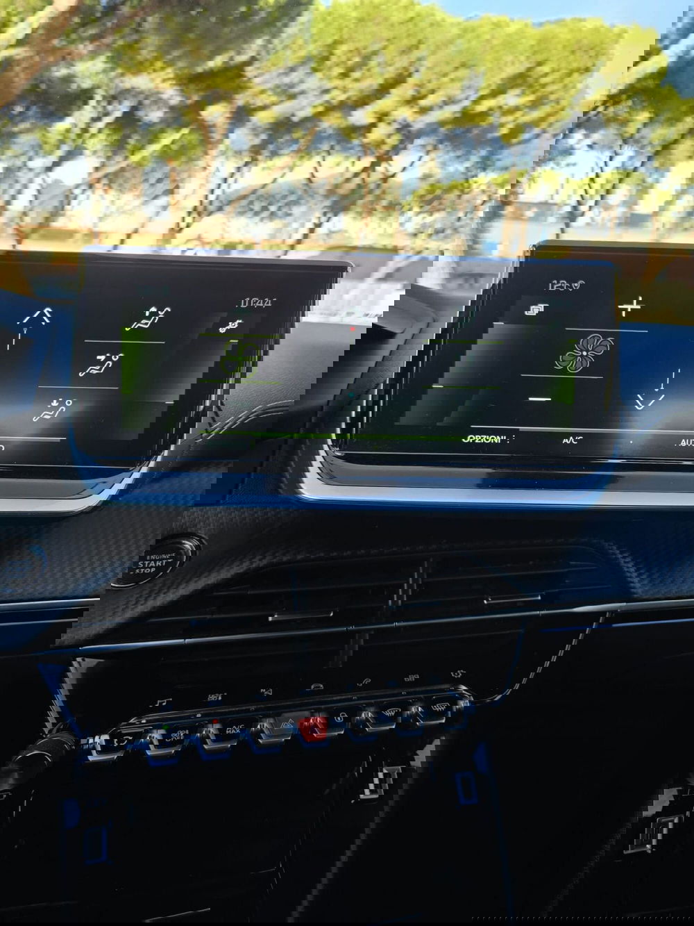 Peugeot 2008 usata a Massa-Carrara (12)