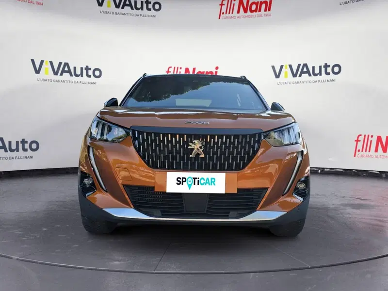 Peugeot 2008 usata a Massa-Carrara (3)