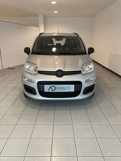 Fiat Panda 1.2 Easy del 2015 usata a Barletta