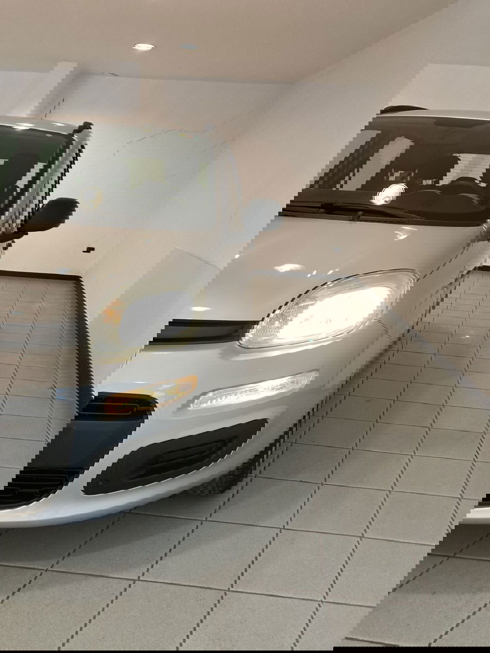 Fiat Panda usata a Barletta-Andria-Trani (15)