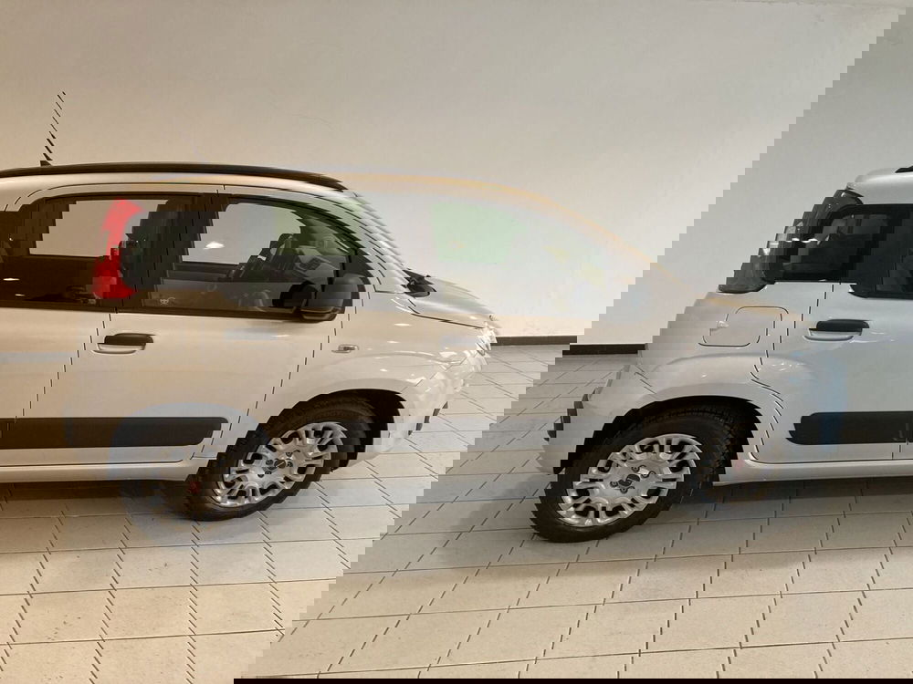 Fiat Panda usata a Barletta-Andria-Trani (3)