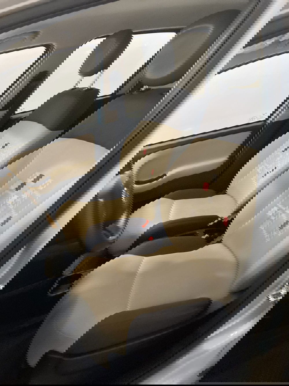 Fiat Panda usata a Barletta-Andria-Trani (6)