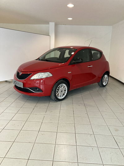 Lancia Ypsilon 1.2 69 CV 5 porte Platinum del 2016 usata a Barletta