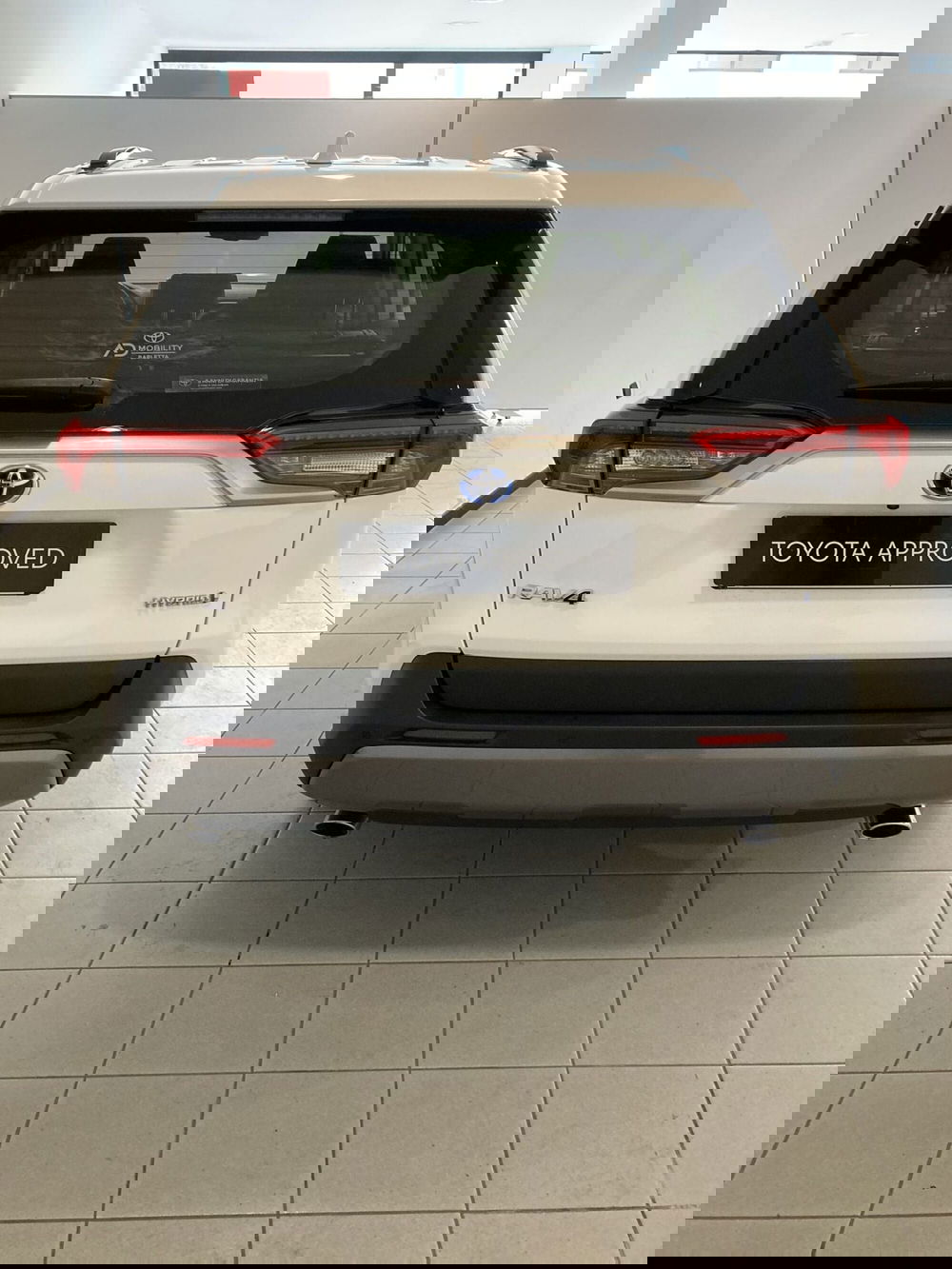 Toyota Rav4 usata a Barletta-Andria-Trani (5)