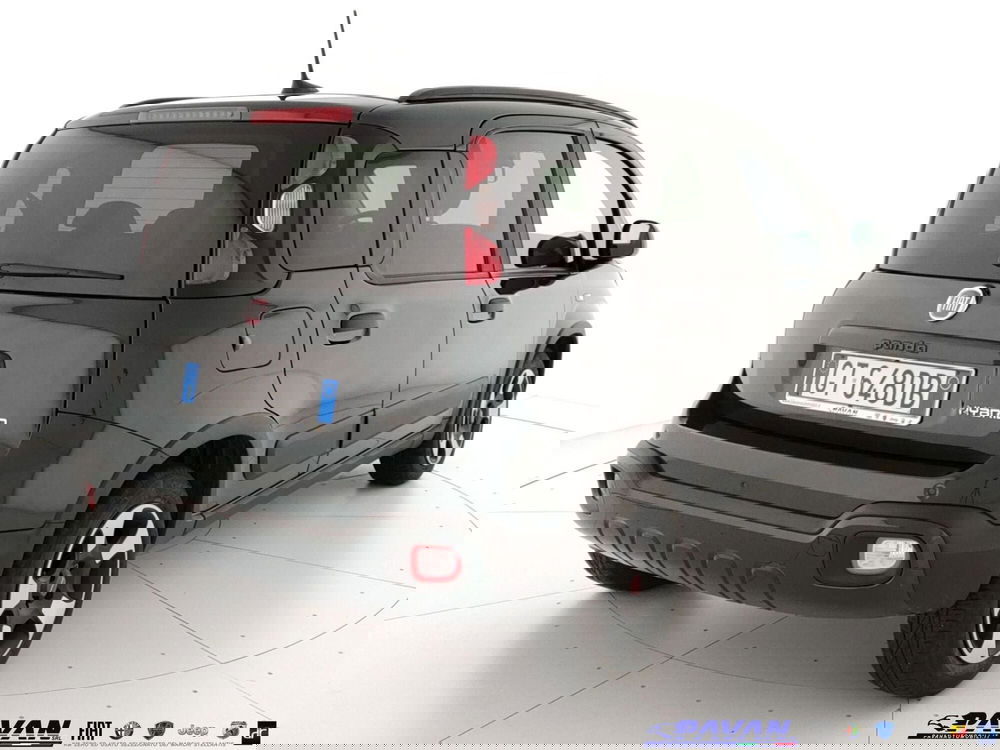 Fiat Panda Cross usata a Padova (5)