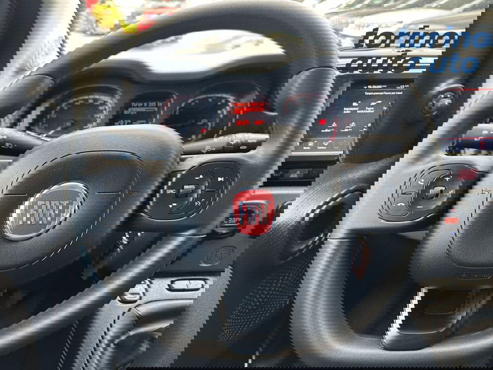 Fiat Panda Cross usata a Torino (15)