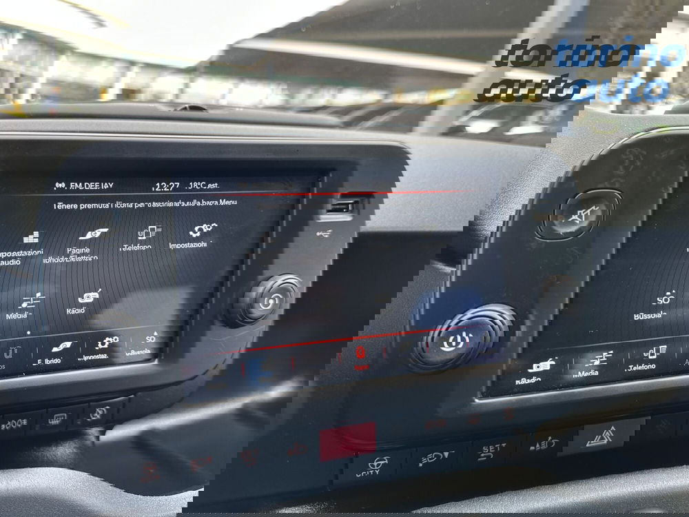 Fiat Panda Cross usata a Torino (19)