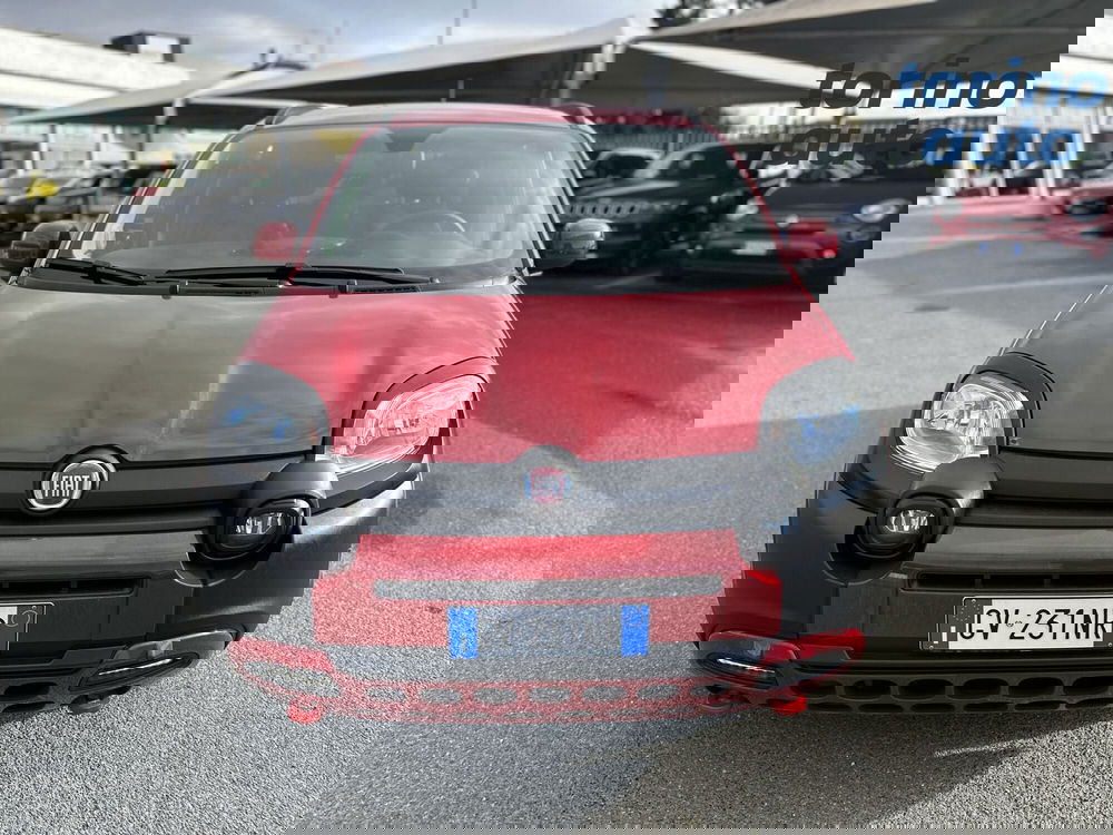 Fiat Panda Cross usata a Torino (2)