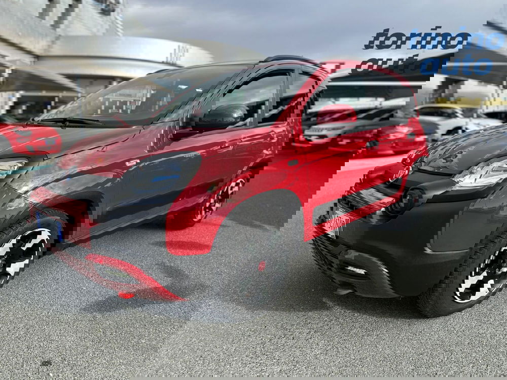 Fiat Panda Cross usata a Torino (3)