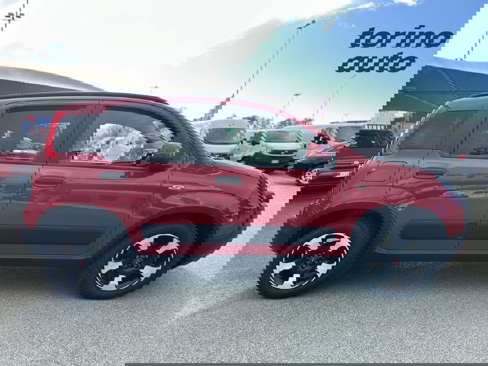 Fiat Panda Cross usata a Torino (8)