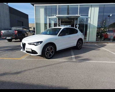 Alfa Romeo Stelvio Stelvio 2.2 Turbodiesel 210 CV AT8 Q4 Veloce del 2024 usata a Portogruaro