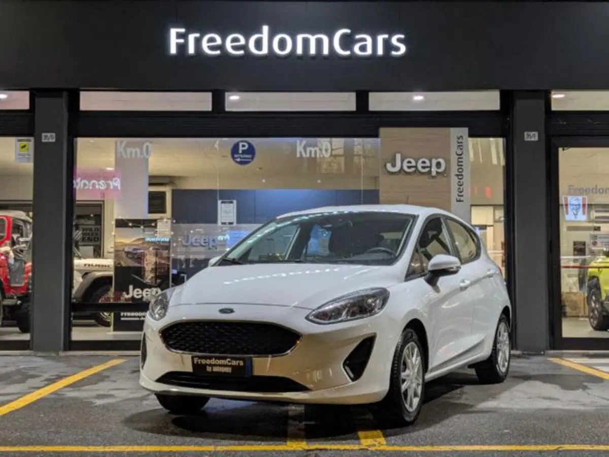 Ford Fiesta usata a Parma