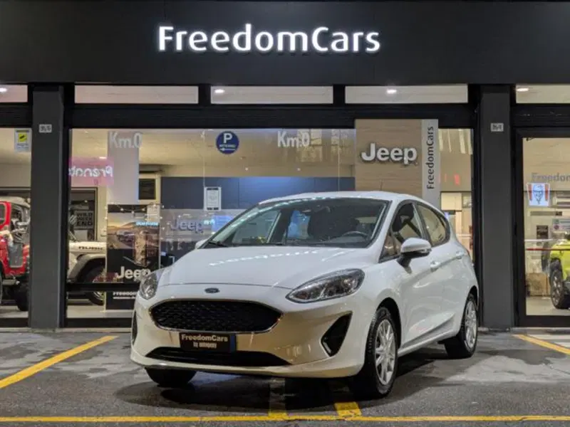 Ford Fiesta usata a Parma
