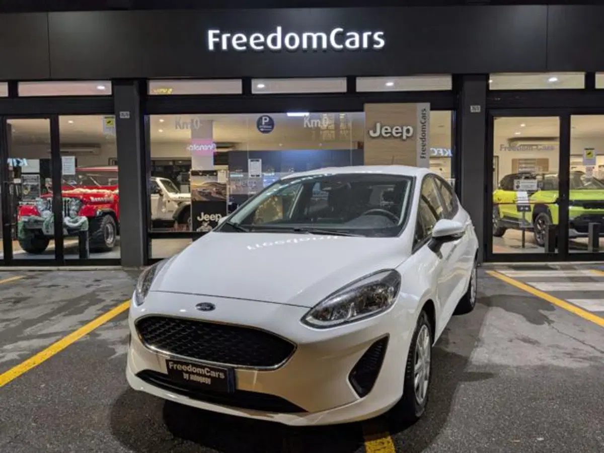 Ford Fiesta usata a Parma (2)