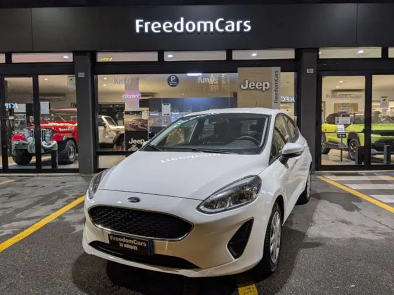 Ford Fiesta usata a Parma (2)