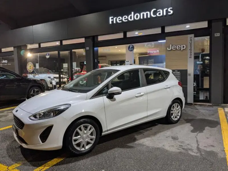 Ford Fiesta usata a Parma (3)