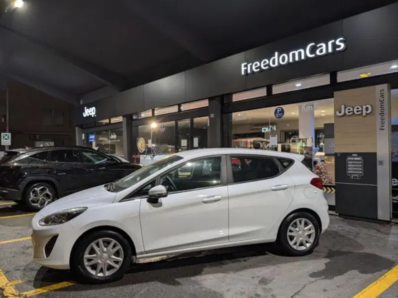 Ford Fiesta usata a Parma (4)