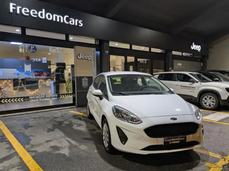Ford Fiesta usata a Parma (5)