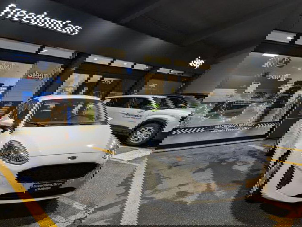 Ford Fiesta usata a Parma (5)