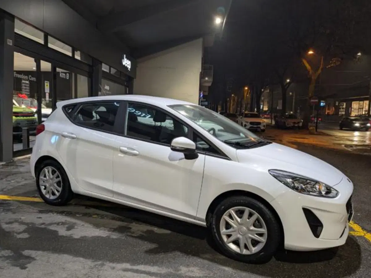 Ford Fiesta usata a Parma (6)