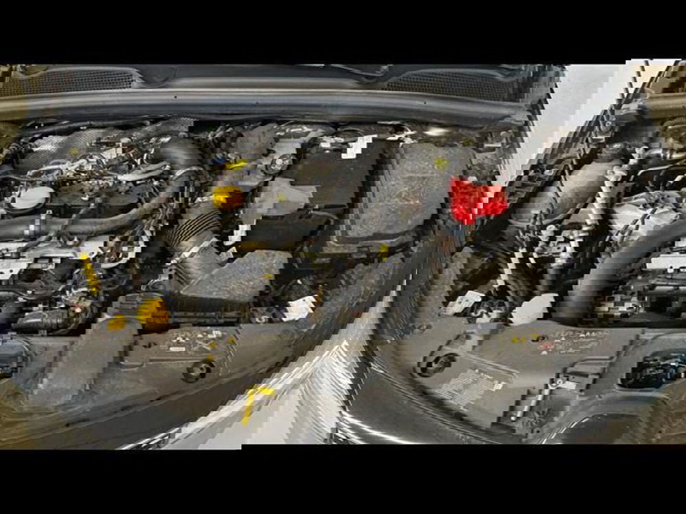 Renault Clio usata a Firenze (14)