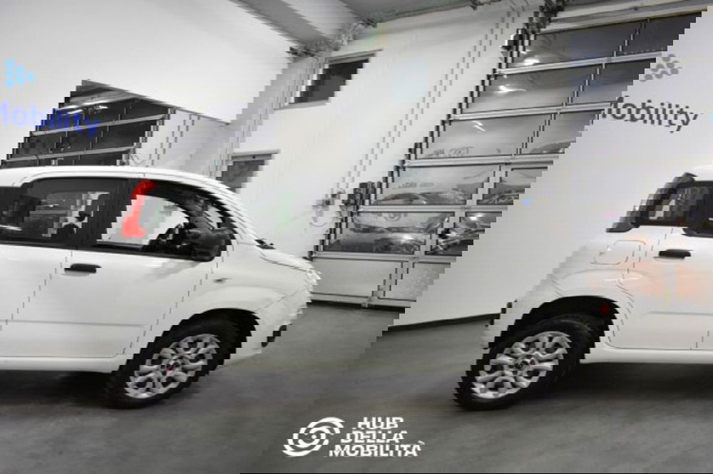 Fiat Panda usata a Perugia (6)