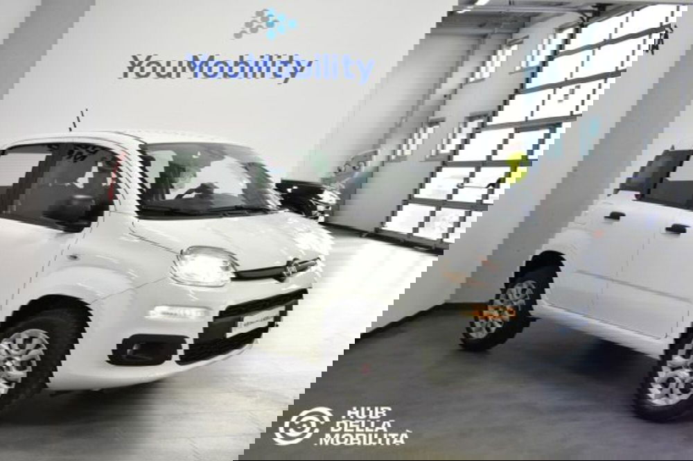 Fiat Panda usata a Perugia (2)