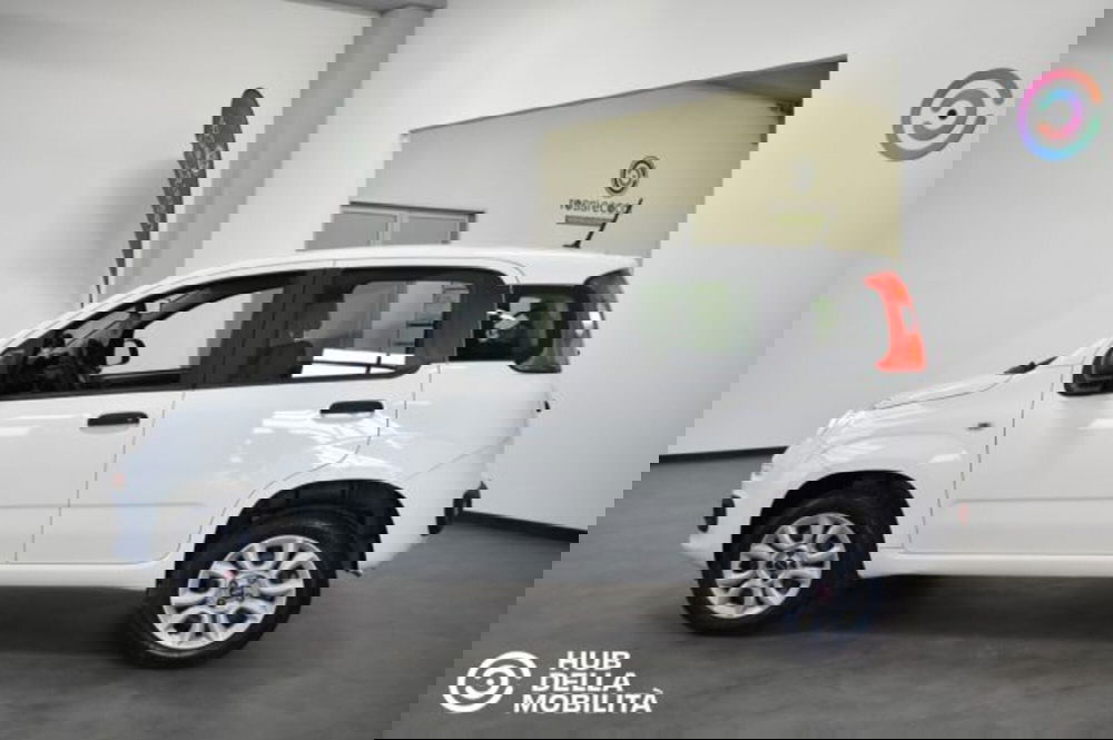 Fiat Panda usata a Perugia (4)