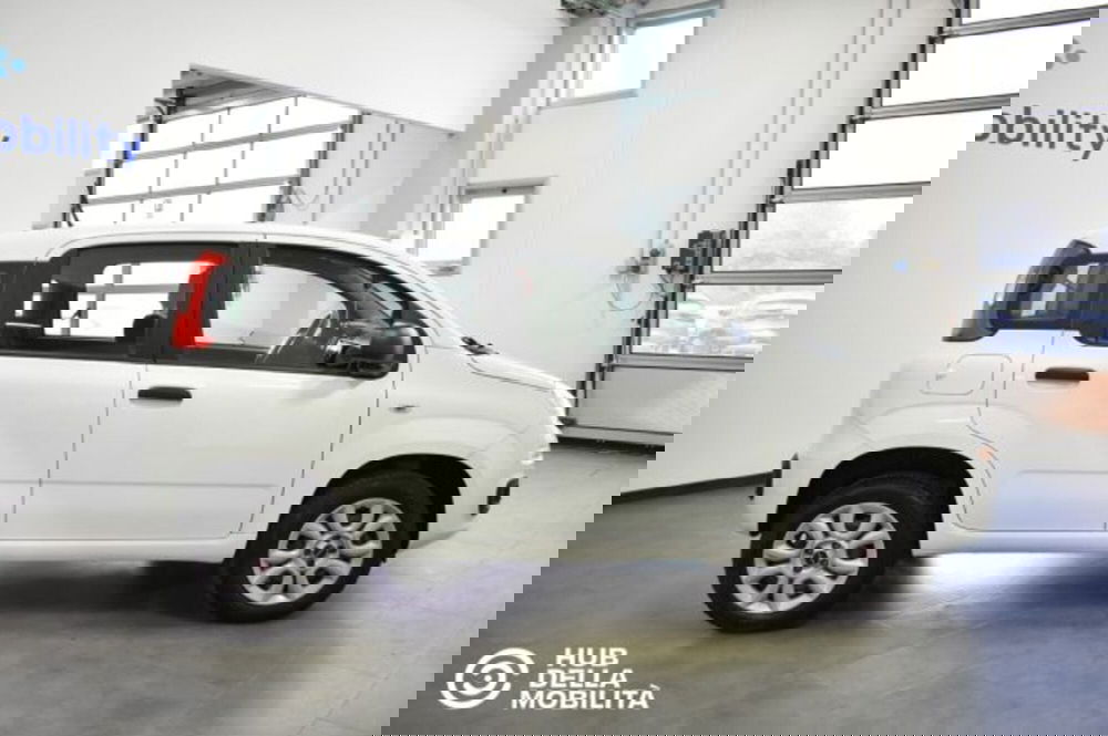 Fiat Panda usata a Perugia (6)