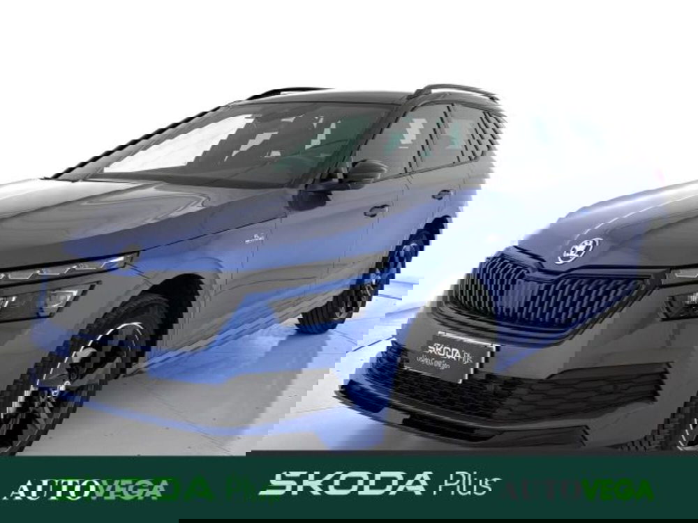 Skoda Kamiq usata a Vicenza
