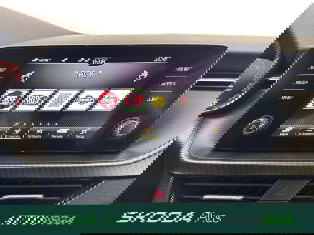 Skoda Kamiq usata a Vicenza (15)