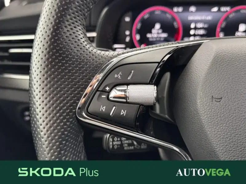 Skoda Kamiq usata a Vicenza (19)