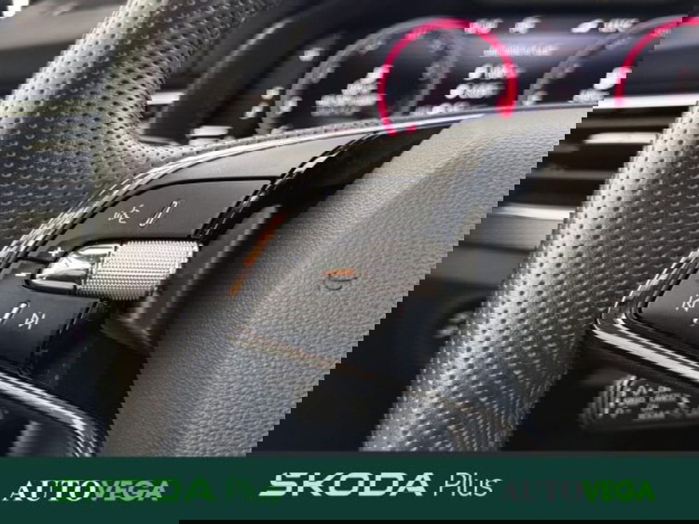 Skoda Kamiq usata a Vicenza (19)