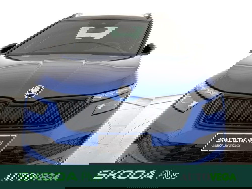 Skoda Kamiq usata a Vicenza (2)