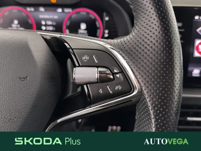 Skoda Kamiq usata a Vicenza (20)