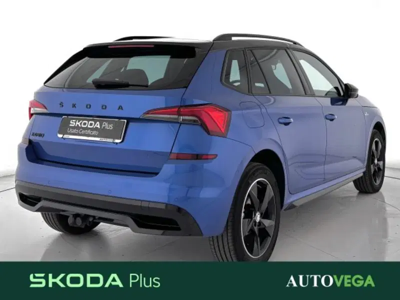 Skoda Kamiq usata a Vicenza (3)
