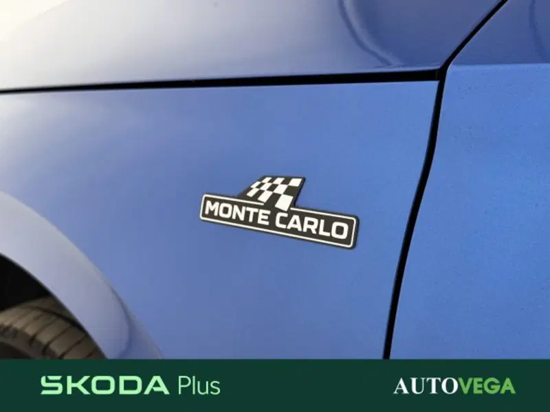 Skoda Kamiq usata a Vicenza (7)